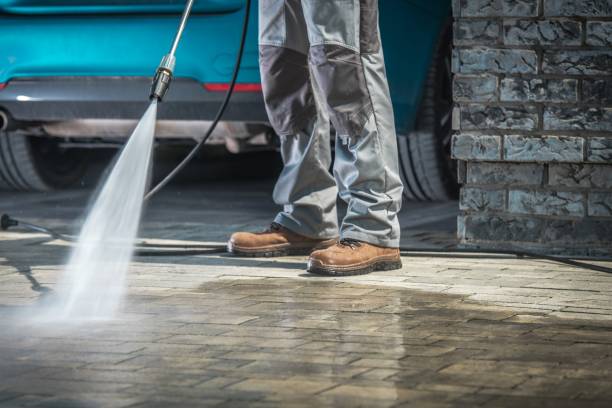 Best Driveway Pressure Washing  in Cairo, IL