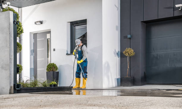 Best Roof Washing  in Cairo, IL